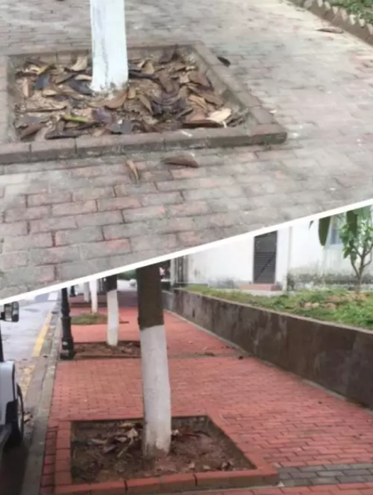 1589422702454804.png image.png